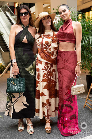 Chanda Carroll, Susanne Birbragher, & Daniela Botero Saunders