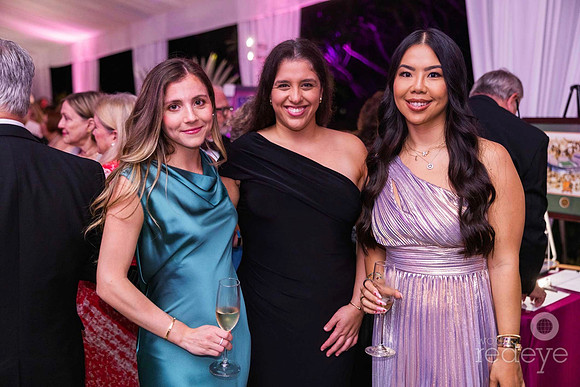 Anna Rauh, Krystina Tamayo, & Tina Tang
