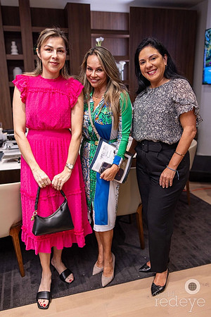 Diana Villarreal Aguirre, Liliana Buitrago-Wood, & Wendy Rodriguez